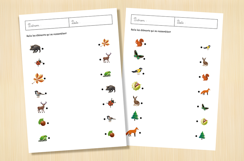 Fiche pour travailler des compétences préscolaires